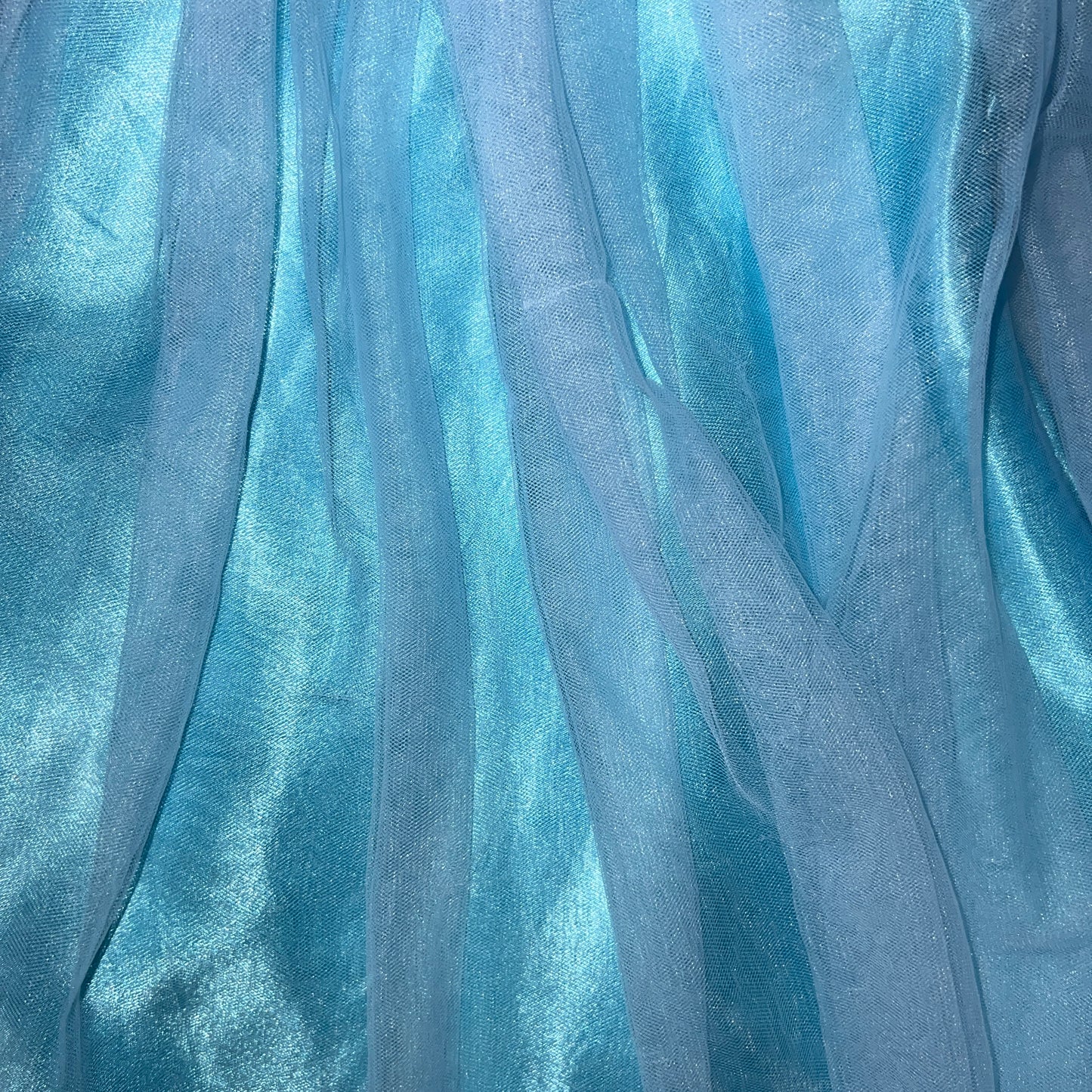 Trish Scull Ice Queen Costume