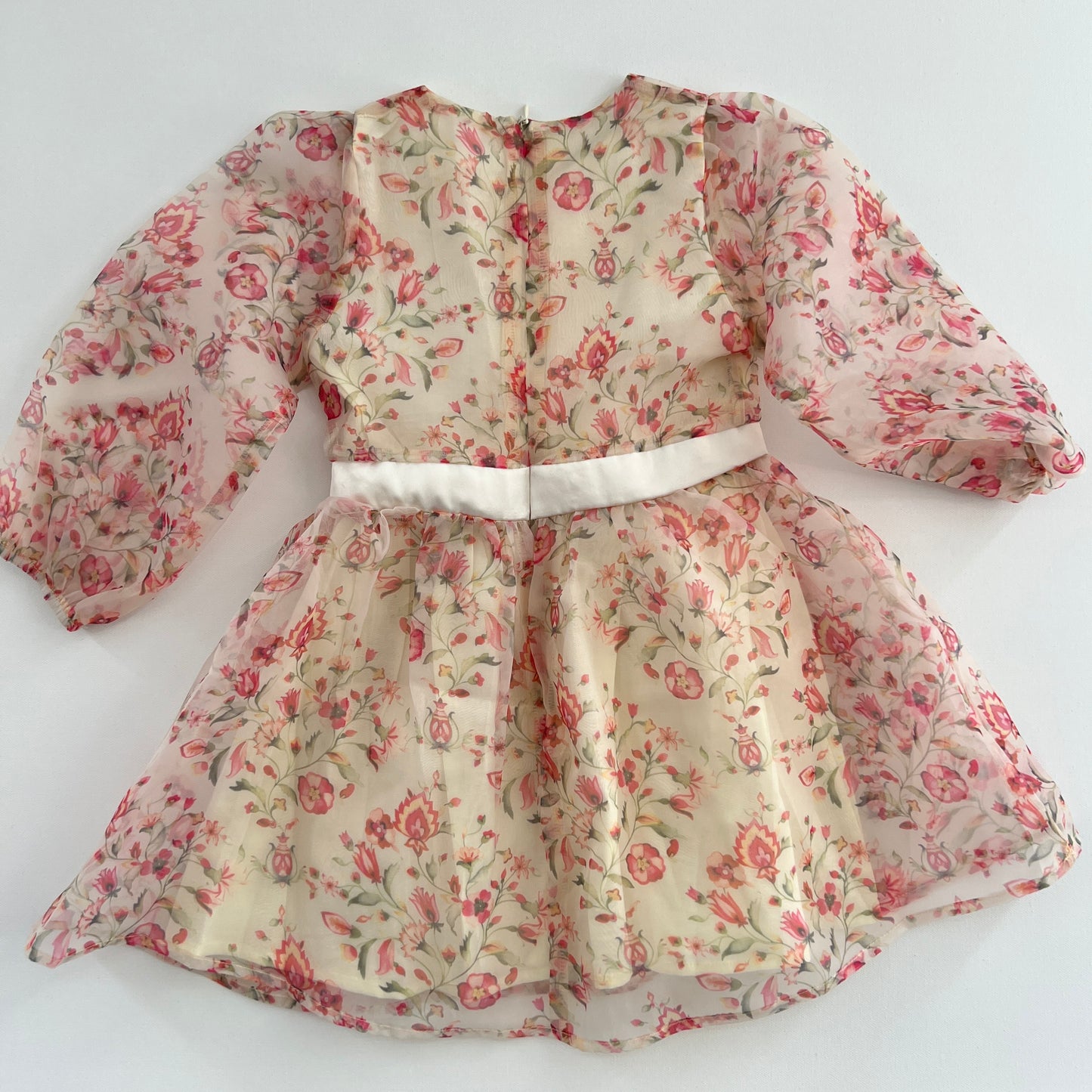 Shein Lantern Sleeve Belted Floral Print Mesh Dress