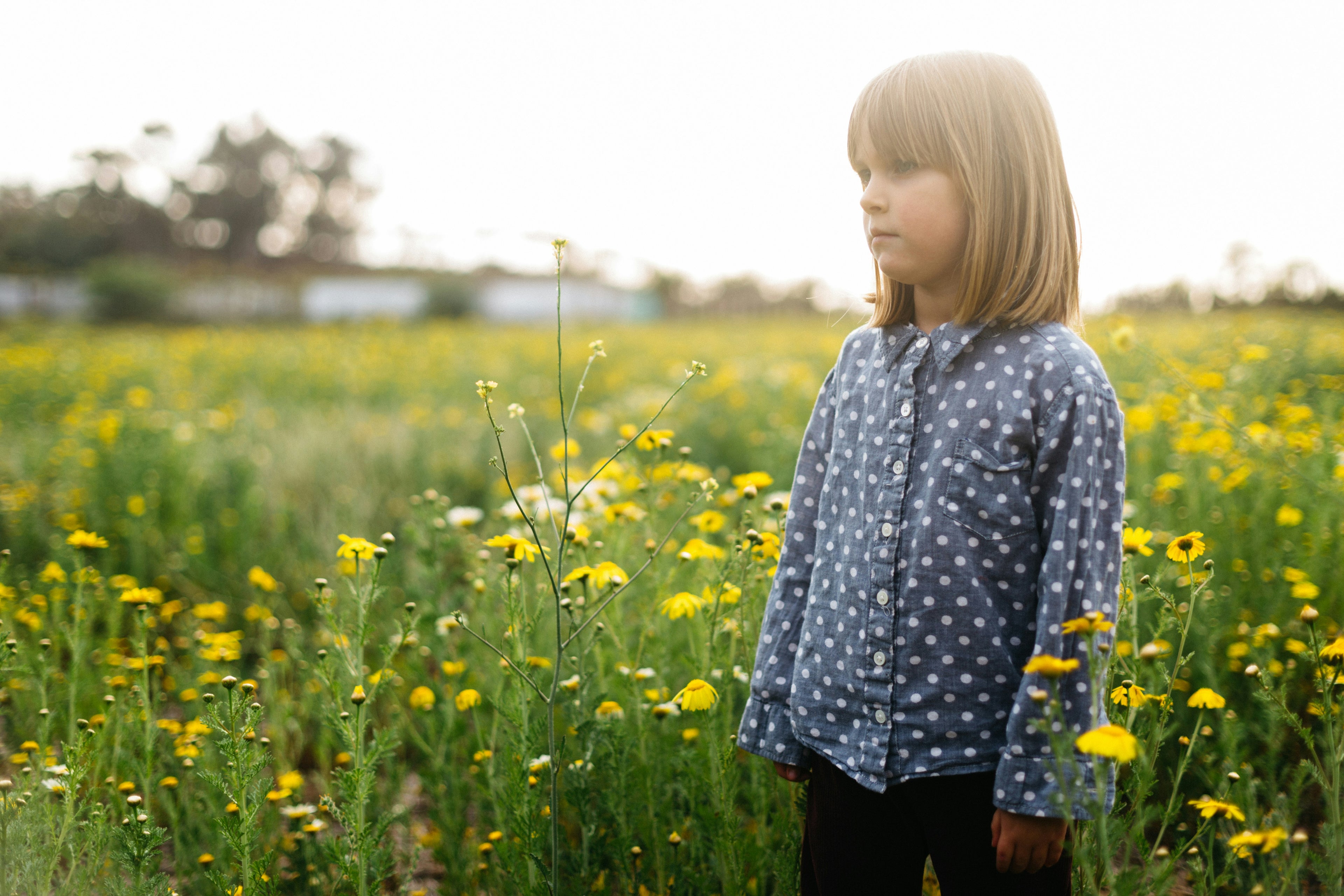 Girl in a field of yellow flowers looking off at a distance.