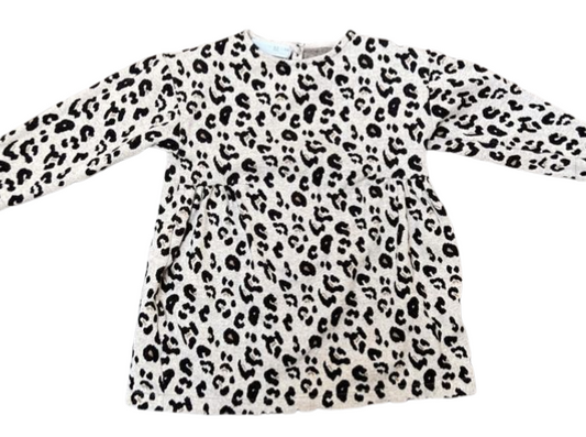 Zara Cheetah Print Dress